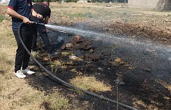 Ağrı'da ot ve tezek yangını paniğe neden oldu