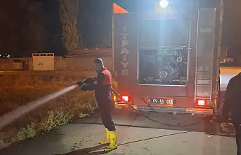 Ağrı'da ot yangını evlere ulaşmadan söndürüldü