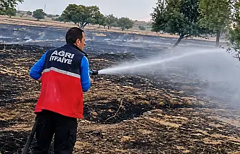 Ağrı'da ot yangını geniş alana yayıldı