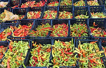 Ağrı'da pazar tezgâhlarında kışa hazırlık ürünleri görücüye çıktı