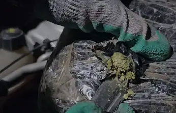 Ağrı'da polis nefes aldırmadı: Kaputa gizlenen 3 kilo skunk bulundu