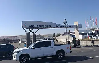 Ağrı'da şap hastalığı sonrası sıkı tedbirler alındı