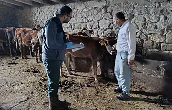 Ağrı'da şap hastalığına karşı önlemler artırıldı: Ekipler sahada!