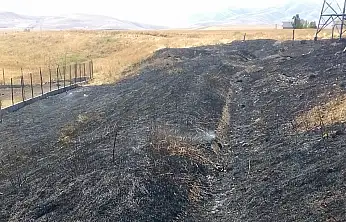 Ağrı'da sarı renkli anızlar siyaha döndü