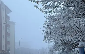 Ağrı'da sisli ve buzlu sabahlar devam ediyor