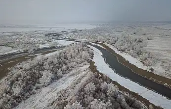 Ağrı'da soğuk hava ve sis kartpostallık görüntüler oluşturdu