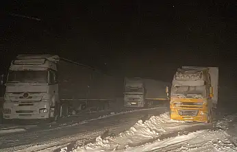 Ağrı'da Tendürek geçidi kar ve tipi nedeniyle geçilemedi
