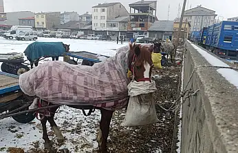 Ağrı'da yaşam herkes için zor
