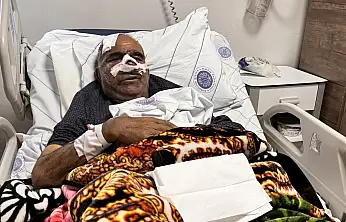 Ağrı'da yaşanan ayı saldırısının perde arkası: Doktorlar neler söyledi?