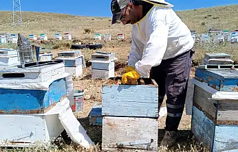 Ağrı'da yılın ilk balı kavanozlara girdi ve fiyatı belli oldu