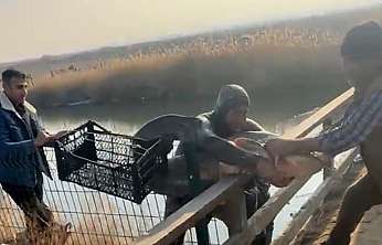 Ağrı Dağı eteklerinde balık adamın sıra dışı avı görenleri şaşırttı