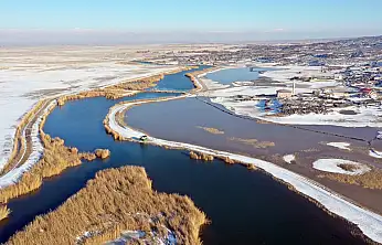 Ağrı Dağı eteklerinde nesli tehlikede olan kuşlar kışa direniyor