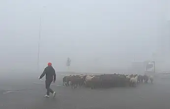 Ağrı–Iğdır karayolunu yoğun sis kapladı