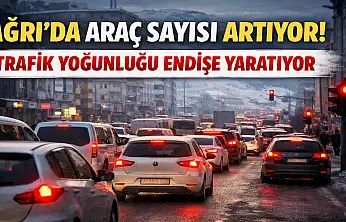 Ağrı'nın araç sayısı açıklandı: İşte son rakam