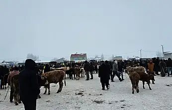 Ağrı'nın bacasız fabrikasında kış mesaisi devam ediyor