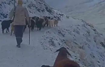 Ağrı'nın ilçelerinde hayvanlarını otlatmaya çıkaran köylüler tipiye yakalandı