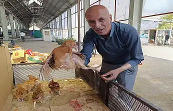 Ağrı pazarında civciv ve ördek yavruları ilgi görüyor