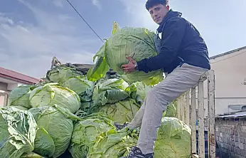 Ağrı sokaklarında Hasankale lahanası satışa çıktı