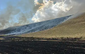 Ahlat'ta tarım arazileri alevlere teslim oldu: 400 dönüm alan zarar gördü
