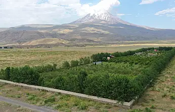 Çorak araziyi cennete çevirdi! Ağrı Dağı eteklerinde görenler hayran kalıyor