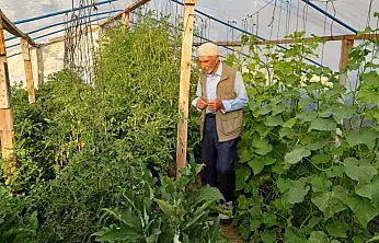 Diyadin'de 70  yaşındaki Abdullah Pelit toprağa hayat veriyor