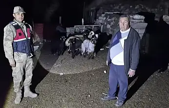 Diyadin'de kaybolan 10 küçükbaş hayvanı jandarma drone ile buldu