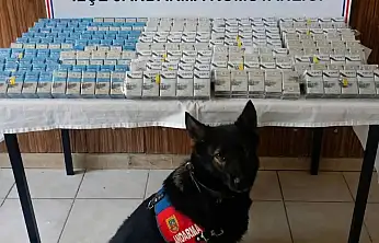 Diyadin'de tırdan 500 paket kaçak sigara çıktı