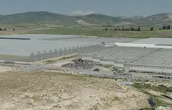 Diyadin Jeotermal Sera OSB'de üretim için geri sayım başladı