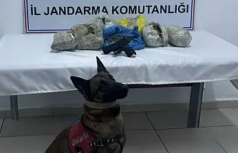 Doğubayazıt'ta jandarmadan narkotik darbesi