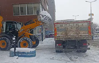 Doğubayazıt'ta kar yağışı sonrası belediye ekipleri sahaya indi