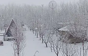 Doğubayazıt'ta meyve bahçesi beyaza büründü