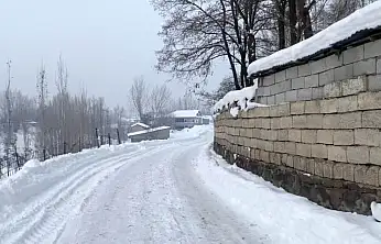 Dondurucu hava Patnos'ta etkisini sürdürüyor