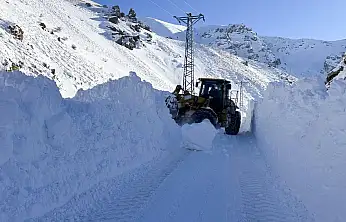 Eleşkirt'te çığın kapattığı köy yolu ulaşıma açıldı