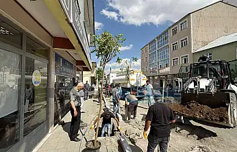 Eleşkirt'te kaldırımlar onarılıyor, yeni fidanlar toprakla buluşuyor