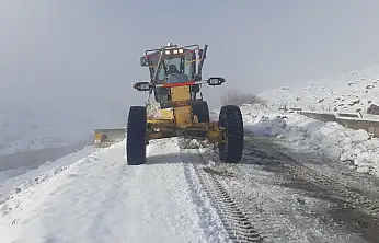 Eleşkirt'te kar ve tipi nedeniyle kapanan köy yolları yeniden ulaşıma açıldı