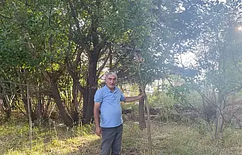 Emekliliğini bahçesinde üretime dönüştürdü