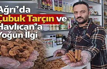 Gribe karşı çözüm aktarlarda aranıyor