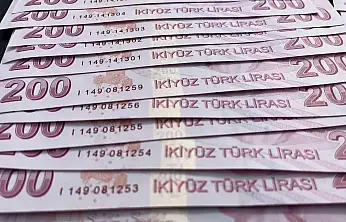 İŞKUR'dan Hibe Desteği Başladı! Engelli ve Eski Hükümlülere 735 Bin TL'ye Varan Destek