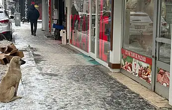 Kar ve ayazın ortasında bir bakış: Ağrı'da yürek burkan anlar