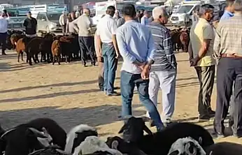 Patnos Hayvan Pazarı 15 gün süreyle kapatıldı