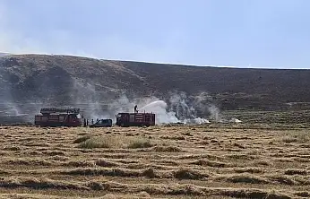 Patnos'ta çıkan yangın çiftçinin alın terini yaktı