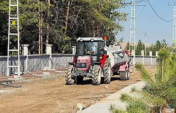 Patnos'ta genişletilen yol fidanlarla yeşillendiriliyor