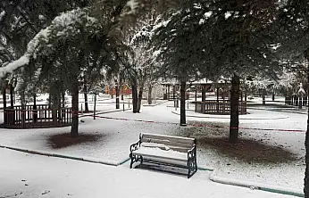 Patnos'ta kar yağışı kırsalda etkisini artırdı