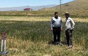 Patnos'ta yonca hasadı başladı
