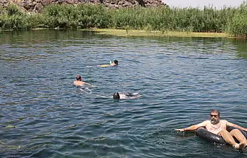 Sıcaklardan kaçanlar Ağrı Dağı eteklerinde serinledi
