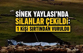 Sinek Yaylası'nda koyun pazarlığı silahlı kavgaya dönüştü: 1 yaralı