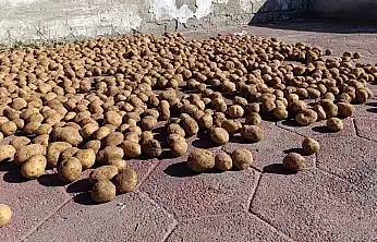 Soğuklar yaklaşırken Ağrı'da kış hazırlığı hız kazandı