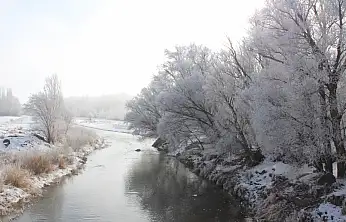 Taşlıçay beyaza büründü, kırağı tutan ağaçlar göz kamaştırdı