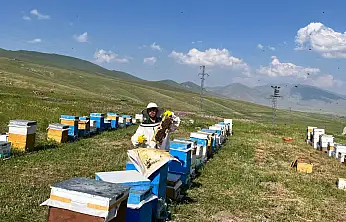 Türkiye'nin çatısında şifalı bal mesaisi başladı
