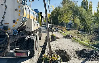 Yeşil bir Patnos için ağaçlandırma çalışmaları devam ediyor